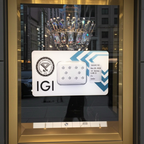 10 pezzi diamanti naturali certificato IGI 0.96ct  F VVS1